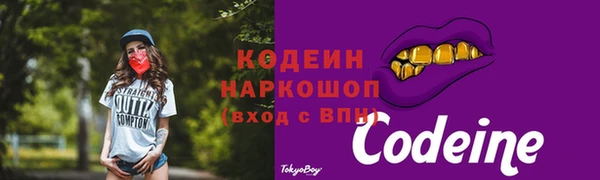 хмурый Медногорск