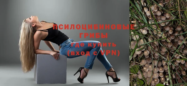 стафф Ачинск