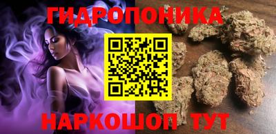 стафф Заводоуковск