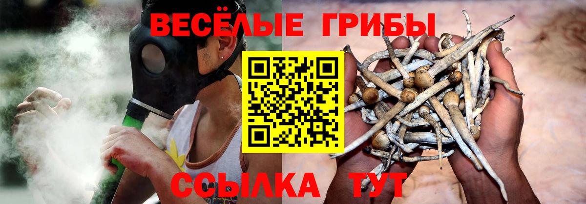 Псилоцибиновые грибы прущие грибы  Новоалтайск 