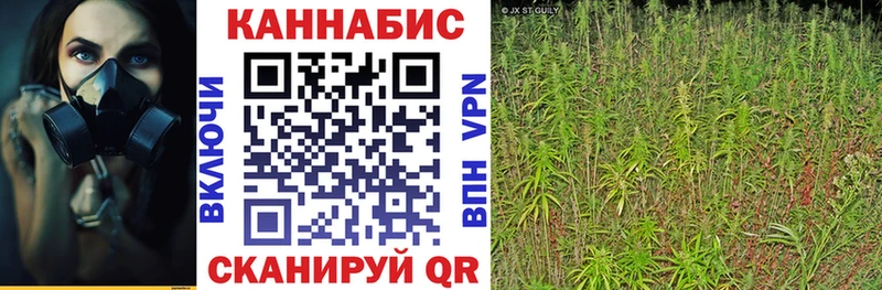 Бошки марихуана Bruce Banner  сколько стоит  Новоалтайск 
